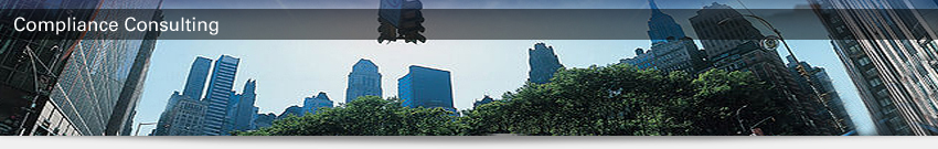 Madison Consulting Group
